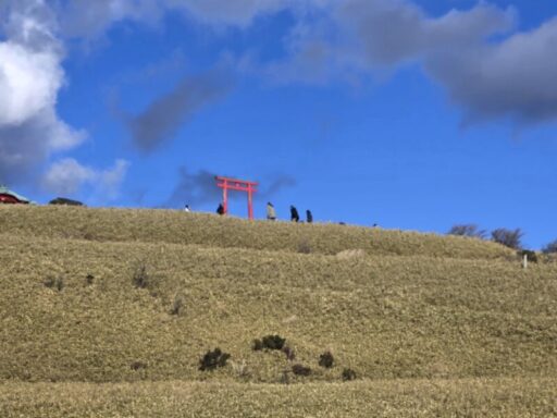 天空の神社が見えます