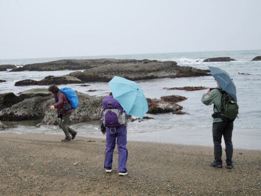 大洗の海岸にて