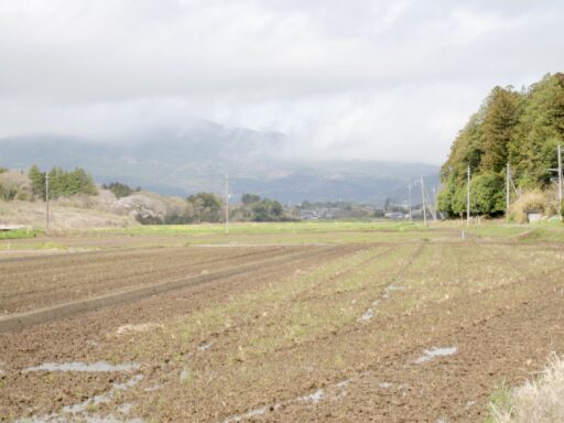 下から見上げる筑波山